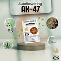 Verpackung der Cannabis Samen AK Autoflowering (3 Samen)