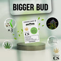 Verpackung der Cannabis Samen Bigger Bud (3 Samen)