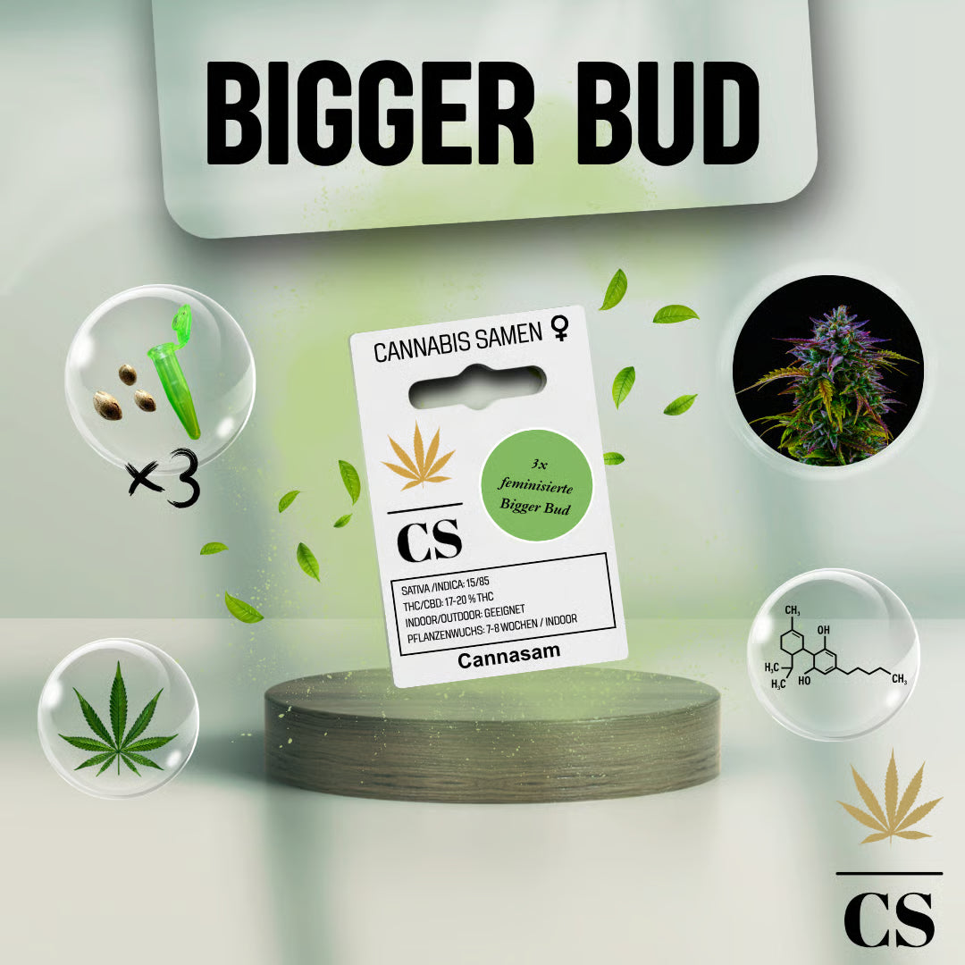Cannasam  Grow Shop fr hochwertige Hanfsamen