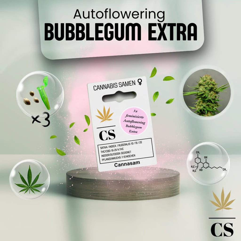 Verpackung der Cannabis Samen Bubblegum Extra Autoflowering (3 Samen)