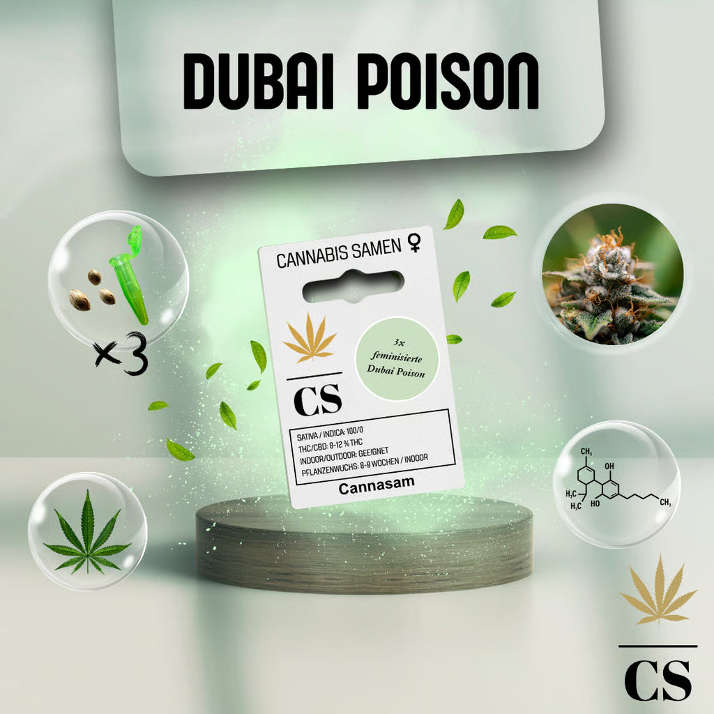 Verpackung der Cannabis Samen Dubai Poison (3 Samen)