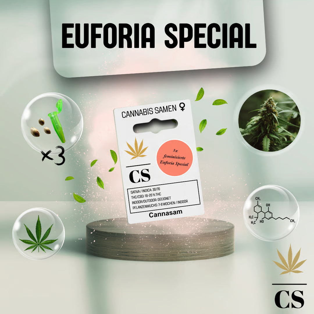 Verpackung der Cannabis Samen Euforia Special (3 Samen)