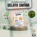 Verpackung der Cannabis Samen Gelato Samba Autoflowering (3 Samen)