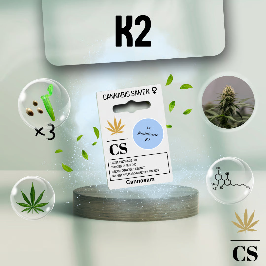 Verpackung der Cannabis Samen K2 (3 Samen)