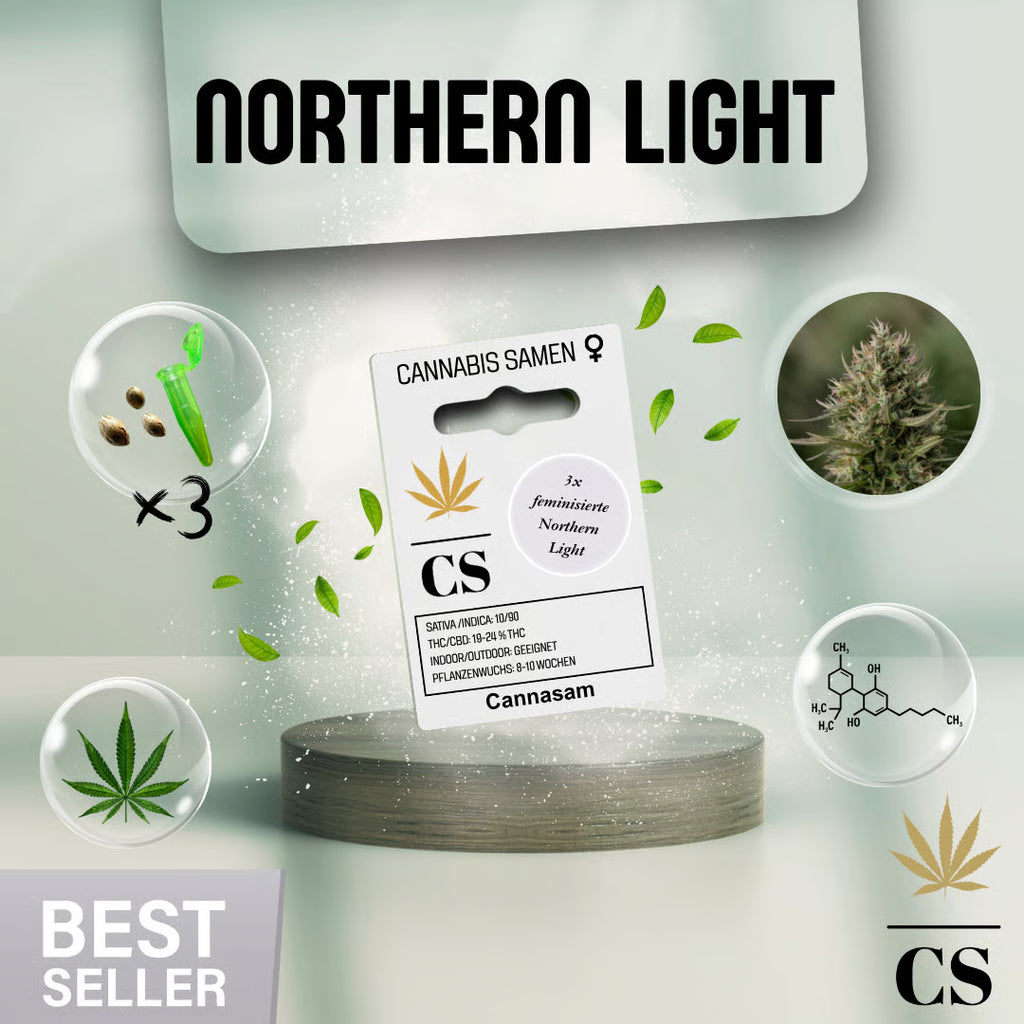 Verpackung der Cannabis Samen Northern Light (3 Samen)