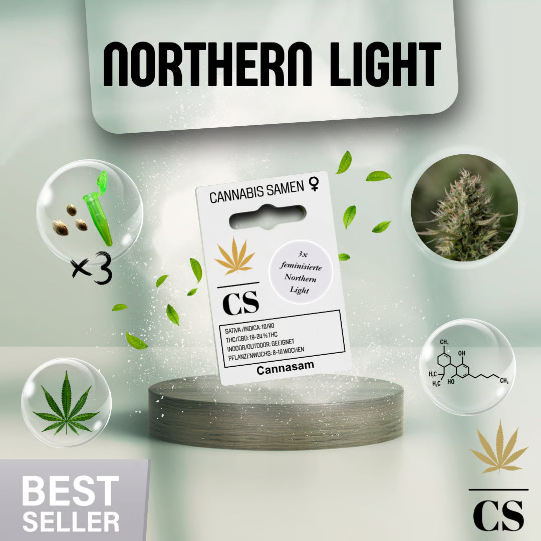 Verpackung der Cannabis Samen Northern Light (3 Samen)