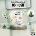 Verpackung der Cannabis Samen OG Kush Autoflowering (3 Samen)