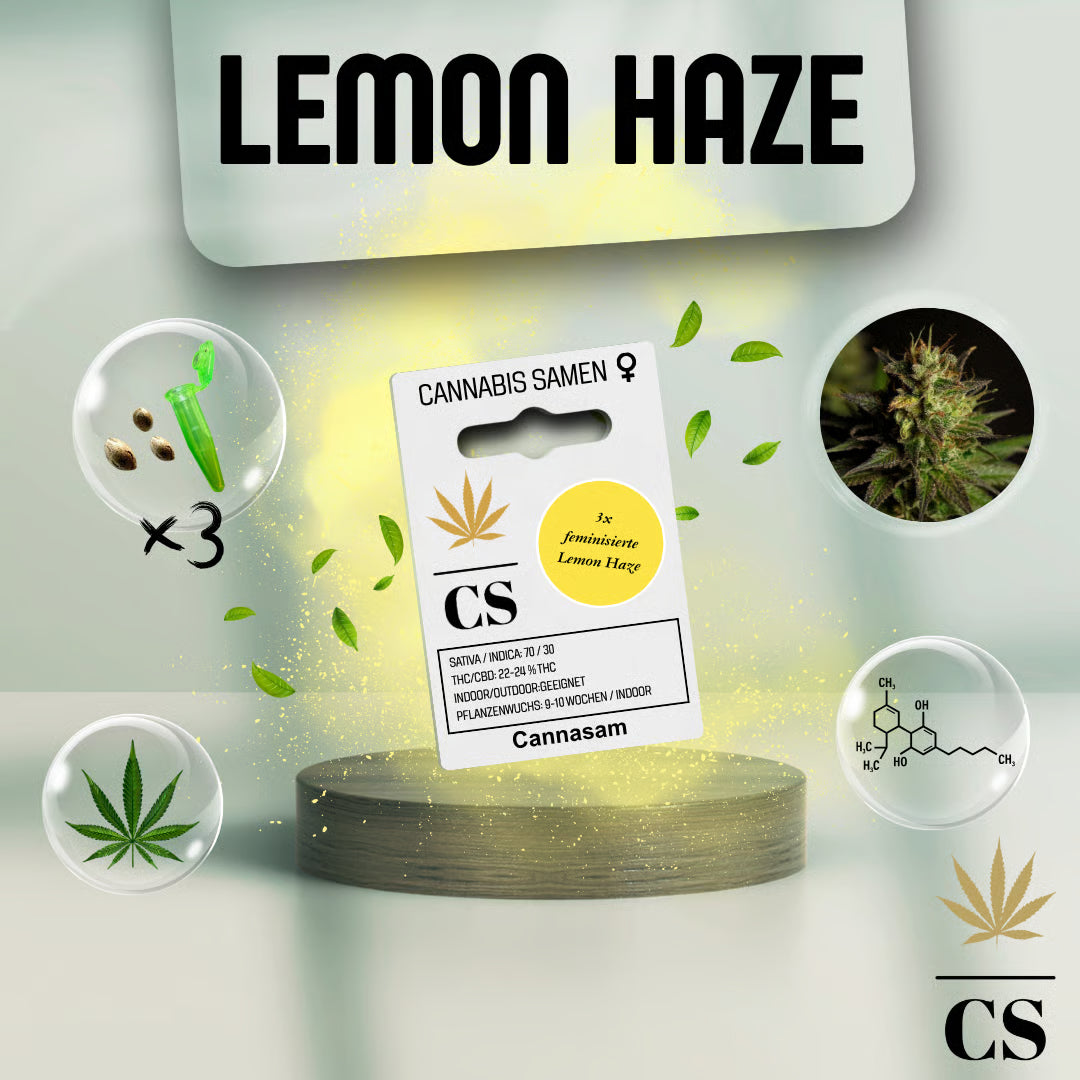 Verpackung der Cannabis Samen Special Lemon Haze (3 Samen)