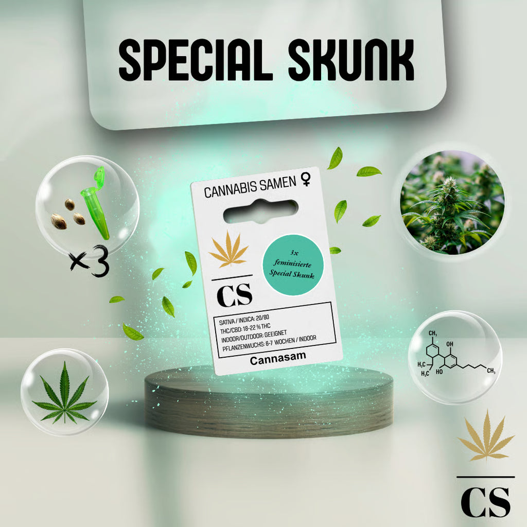 Verpackung der Cannabis Samen Special Skunk (3 Samen)