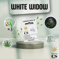 Verpackung der Cannabis Samen Special Skunk (3 Samen)
