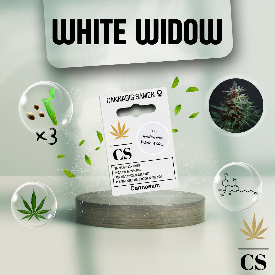 Verpackung der Cannabis Samen Special Skunk (3 Samen)
